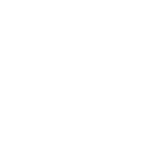 insta-icon
