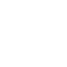 tiktok-icon
